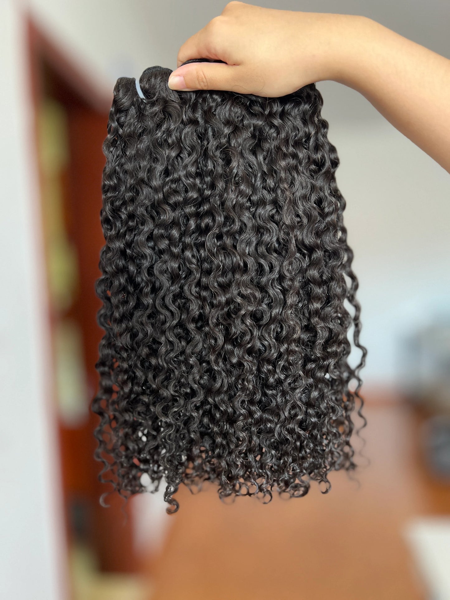 Virgin Burmese Curly